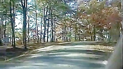 Alyssa the exhibitionist