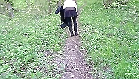 Balade printaniere en foret Balade printaniere en foret