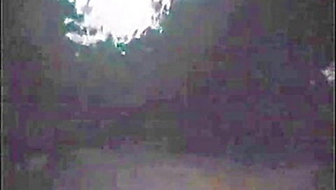 Tanya goes Dogging Tanya goes Dogging