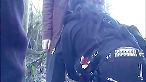 dogging in the trees dogging in the trees