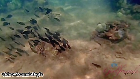 Lily Jordan in Piper gets on all 4's to gape her pussy before the creampie - ATKGirlfriends Lily Jordan in Piper gets on all 4's to gape her pussy before the creampie - ATKGirlfriends