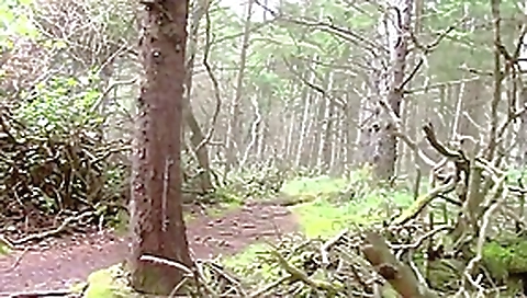 Forest masturbating Forest masturbating