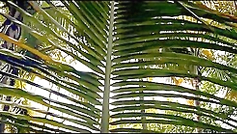 Exotic homemade Public, Amateur sex video