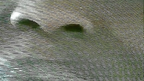 Horny pornstar in amazing interracial, outdoor adult video