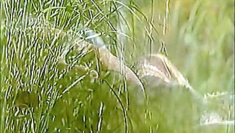 Amazing pornstar Traci Angel in incredible big tits, interracial porn movie