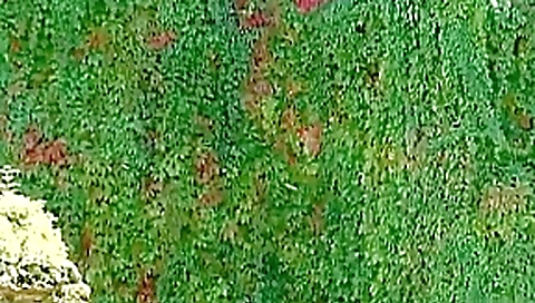 Hottest pornstar Kathy Anderson in exotic anal, fetish adult movie