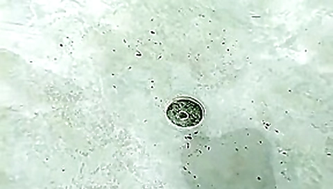 Best pornstar Viviane West in crazy big tits, blowjob porn video Best pornstar Viviane West in crazy big tits, blowjob porn video