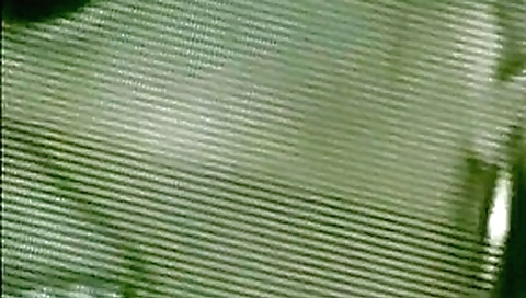 Horny pornstars Amber Michaels and Cassandra Knight in fabulous big tits, blonde sex clip