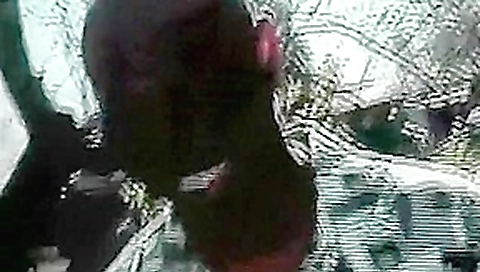 Exotic pornstar in fabulous outdoor, black and ebony adult video