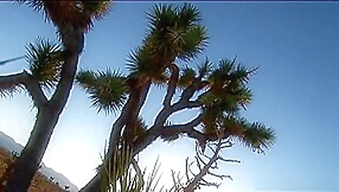 Amazing pornstar Harmony Rose in exotic dp, outdoor xxx scene Amazing pornstar Harmony Rose in exotic dp, outdoor xxx scene