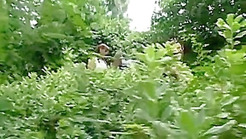 Exotic pornstar Audry Rose in fabulous lesbian, black and ebony adult movie Exotic pornstar Audry Rose in fabulous lesbian, black and ebony adult movie