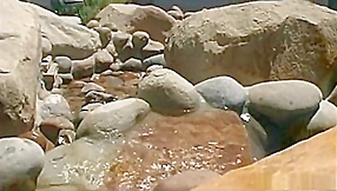 Fabulous pornstar Lena Juliett in best teens 18+, outdoor sex video Fabulous pornstar Lena Juliett in best teens 18+, outdoor sex video