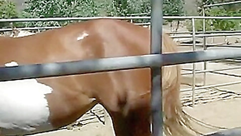 Horny pornstars Julie Night and Mariah Cherry in fabulous dildos/toys, outdoor adult clip Horny pornstars Julie Night and Mariah Cherry in fabulous dildos/toys, outdoor adult clip