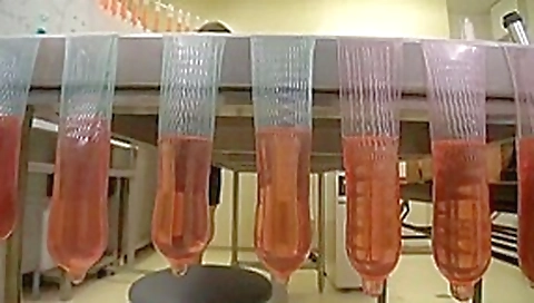 Hottest Japanese slut Mio Fujisawa, Chiharu Nakai, Hikaru Yukino in Fabulous Group Sex JAV movie