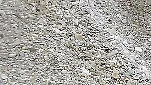 Great beach fuck scene Great beach fuck scene