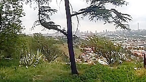 African slave girl gets flogged