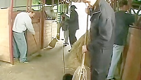 Exotic pornstar Sandra Romain in horny cumshots, dp adult clip Exotic pornstar Sandra Romain in horny cumshots, dp adult clip