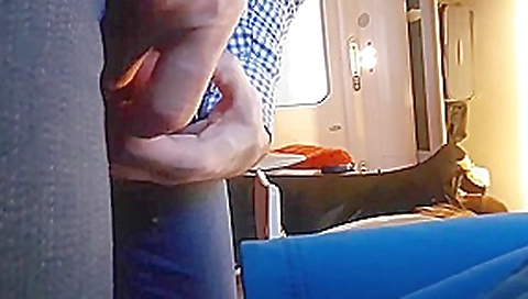 Public fun on train 1