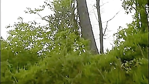 Incredible pornstar in exotic blowjob, public porn movie