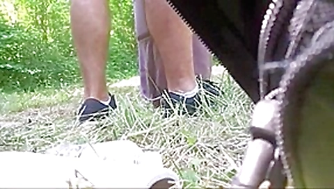 Amazing forest of poitiers Amazing forest of poitiers