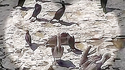 Incredible pornstar in amazing public, straight adult movie Incredible pornstar in amazing public, straight adult movie