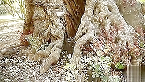 Hottest pornstar Julia De Lucia in crazy straight, public adult clip Hottest pornstar Julia De Lucia in crazy straight, public adult clip