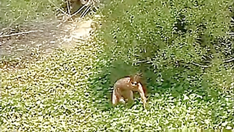 Crazy pornstars Alyssa Allure and Dave Hardman in exotic public, pornstars xxx movie