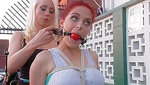 Penny Pax Is Back - PublicDisgrace Penny Pax Is Back - PublicDisgrace