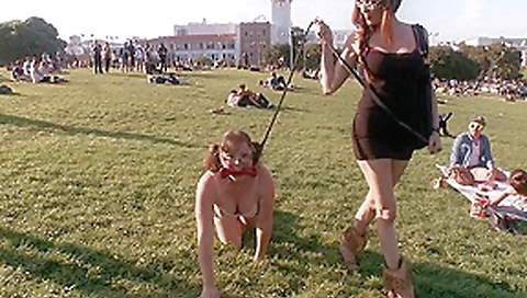 Puppy Love Chubby Pet Turned Obedient Bitch. - PublicDisgrace Puppy Love Chubby Pet Turned Obedient Bitch. - PublicDisgrace