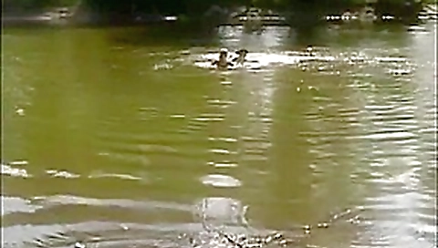 Horny porn movie Vintage wild ever seen Horny porn movie Vintage wild ever seen