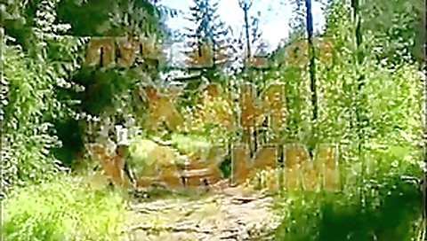 Horny pornstar in incredible straight, european xxx scene Horny pornstar in incredible straight, european xxx scene