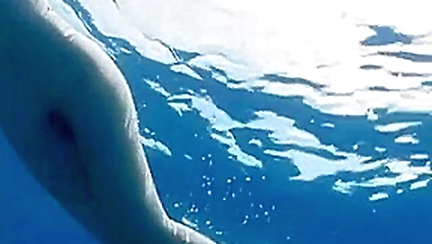 Best Japanese girl Ai Takeuchi in Amazing Fingering, Big Tits JAV video Best Japanese girl Ai Takeuchi in Amazing Fingering, Big Tits JAV video