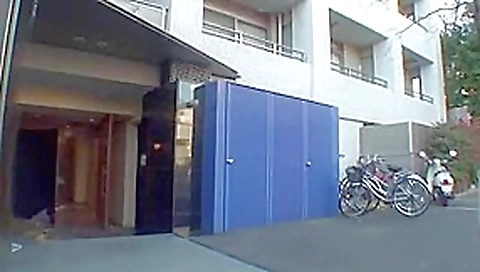 Crazy Japanese whore Yuri Sato 2, Kanno Millia, Seiko Iida in Fabulous Squirting, JAV scene