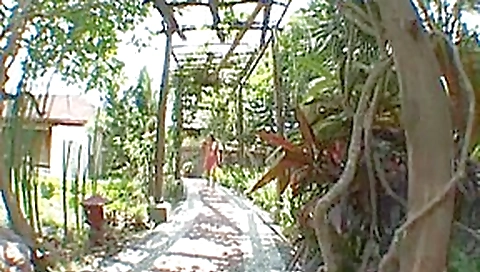 Horny Japanese slut Risa Coda in Hottest Striptease, Public JAV scene