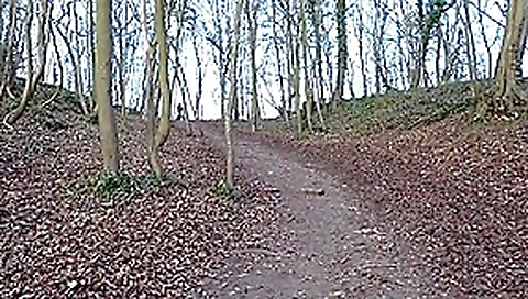 Carla c la fontaine en foret
