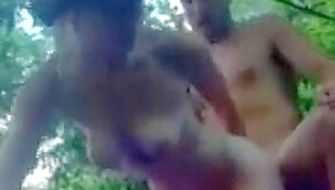 Amateur video: in nature Amateur video: in nature