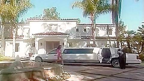 Tera Patrick Rides The Chauffeur's Penis Tera Patrick Rides The Chauffeur's Penis