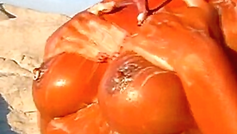 Hot blonde milf washing up again after a day on the beach 1 Hot blonde milf washing up again after a day on the beach 1