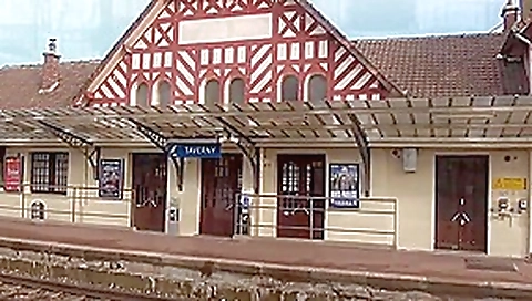 French pussy French pussy