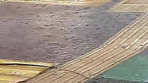 Crazy Cumshot porn scene