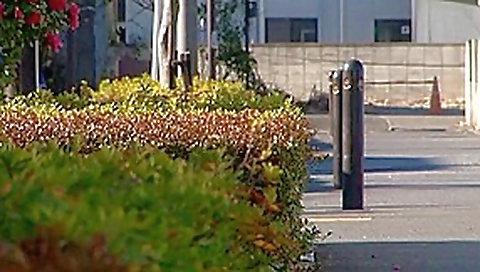 Fabulous Japanese slut Nozomi Ooishi in Horny Public JAV scene