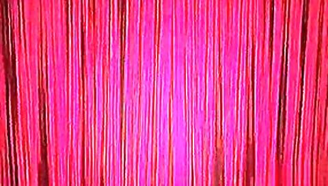 exhib dans parc naturel avec deux couples