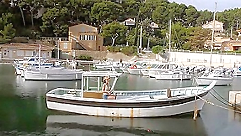 Nikita army Nikita army