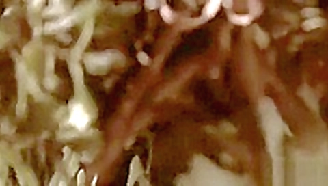 Tomb Raider vs Uncharted Tomb Raider vs Uncharted