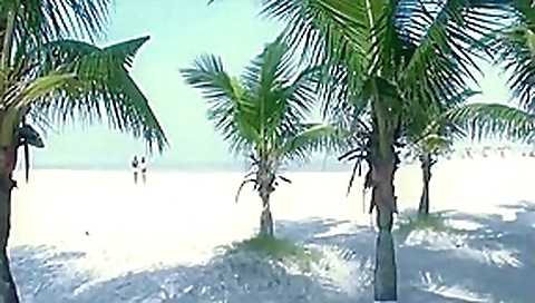 Latina girls tongue kissing outdoors and in a car Latina girls tongue kissing outdoors and in a car