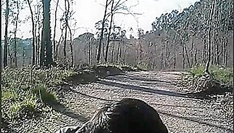 gay65 Latino masturbation gay65 Latino masturbation