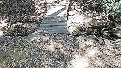 Blonde Caught Masturbating by teacher