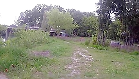 Sucette En Voiture Faciale Dans Un Parc.... #02 Sucette En Voiture Faciale Dans Un Parc.... #02