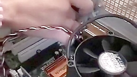 Queeny Love - Queeny's computer shop Queeny Love - Queeny's computer shop