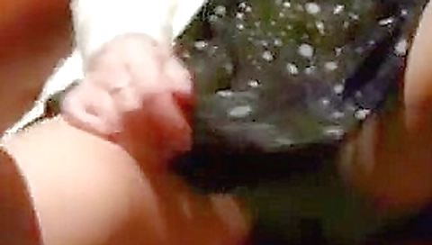 More pub fun flashing